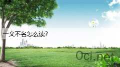 一文不名怎么读？