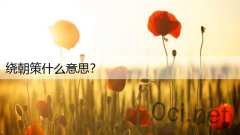 绕朝策什么意思？