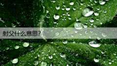 射父什么意思？