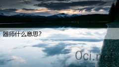 器师什么意思？