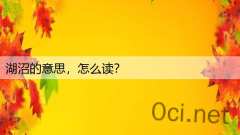 湖沼的意思，怎么读？