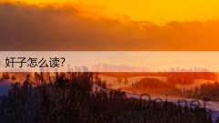 奸子怎么读？