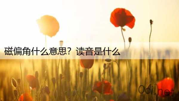 磁偏角什么意思？读音是什么