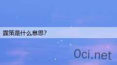 霆策是什么意思？