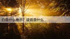 白匪什么意思？读音是什么