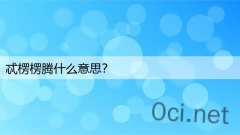 忒楞楞腾什么意思？