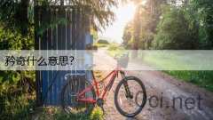 矜奇什么意思？