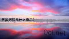 代数方程是什么意思？