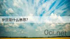 岁旦是什么意思？