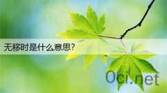 无移时是什么意思？
