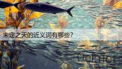 未定之天的近义词有哪些？