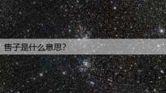 售子是什么意思？