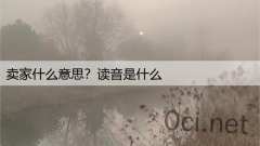 卖家什么意思？读音是什么