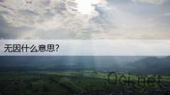 无因什么意思？