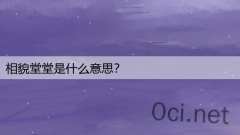 相貌堂堂是什么意思？