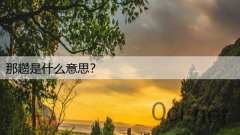 那趱是什么意思？