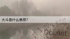大斗是什么意思？