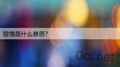 宿情是什么意思？