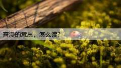 杳漫的意思，怎么读？