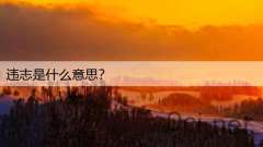 违志是什么意思？