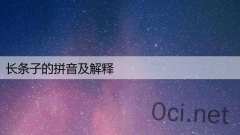 长条子的拼音及解释