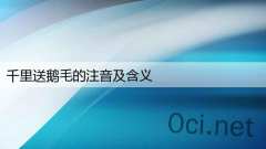 千里送鹅毛的注音及含义