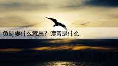 负羁妻什么意思？读音是什么