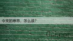 令支的意思，怎么读？