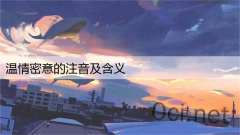 温情密意的注音及含义