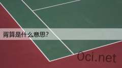 胥算是什么意思？