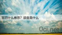 宫罚什么意思？读音是什么