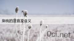 枭桃的注音及含义