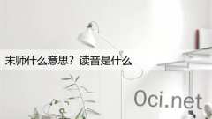 末师什么意思？读音是什么