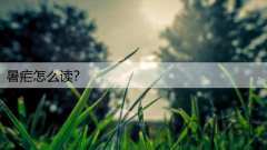 暑疟怎么读？