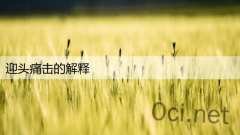 迎头痛击的解释