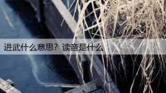进武什么意思？读音是什么
