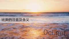 比类的注音及含义