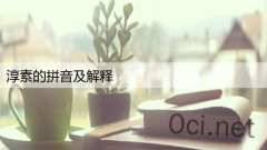 淳素的拼音及解释