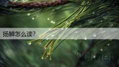 扬觯怎么读？