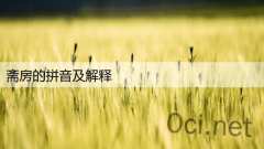 斋房的拼音及解释
