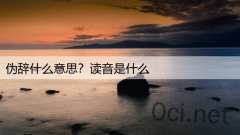 伪辞什么意思？读音是什么