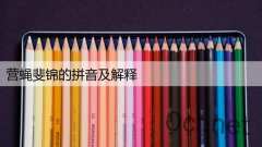 营蝇斐锦的拼音及解释