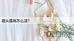 藏头露尾怎么读？