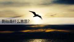 剽俗是什么意思？