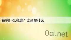 猿鹤什么意思？读音是什么