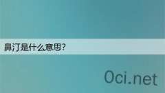 鼻汀是什么意思？