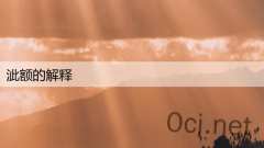 泚额的解释