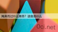 掩鼻而过什么意思？读音是什么