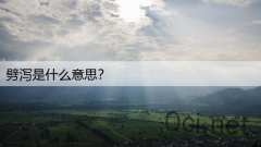劈泻是什么意思？