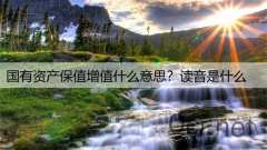 国有资产保值增值什么意思？读音是什么